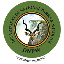 Le Département des Parcs Nationaux et de la Faune de la Zambie (DNPZ)